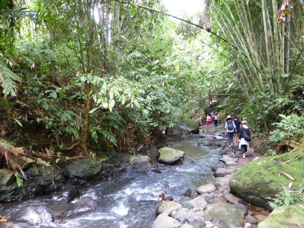 The Aura Shanti Retreat Baturiti エクステリア 写真