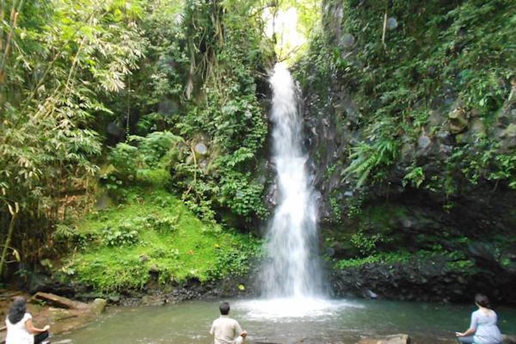 The Aura Shanti Retreat Baturiti エクステリア 写真