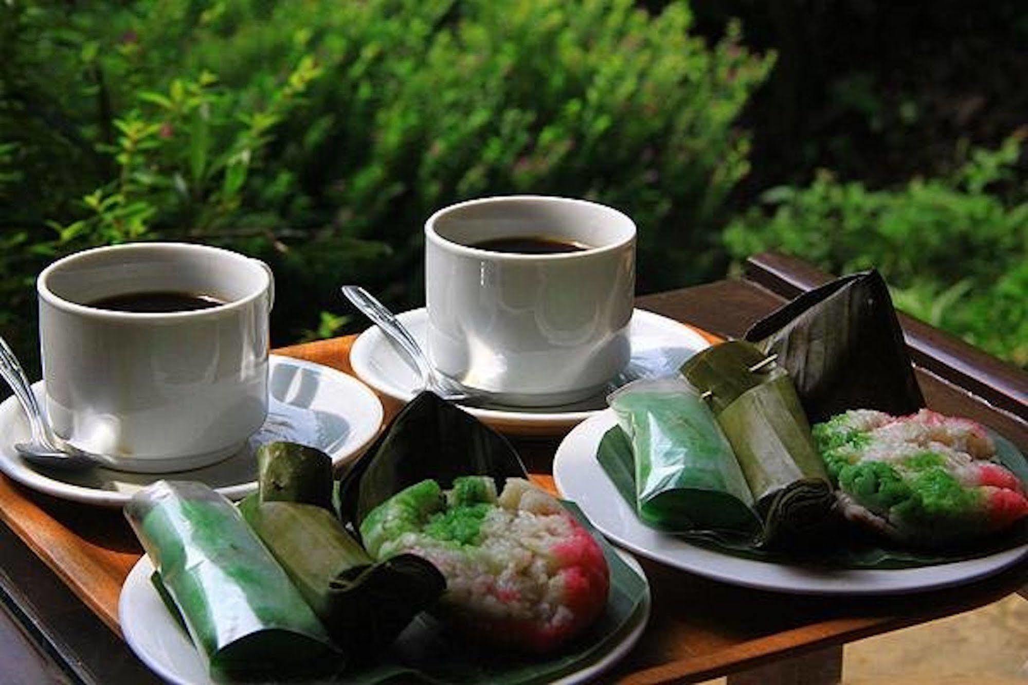 The Aura Shanti Retreat Baturiti エクステリア 写真