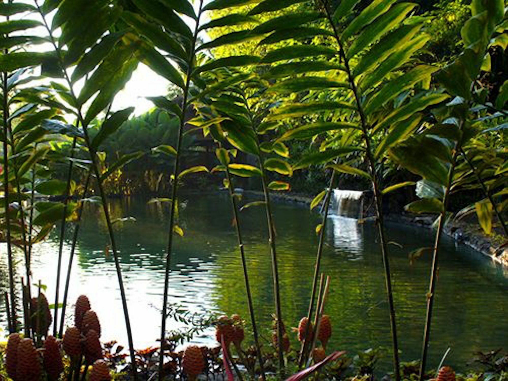 The Aura Shanti Retreat Baturiti エクステリア 写真